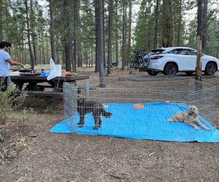 Christie Campground