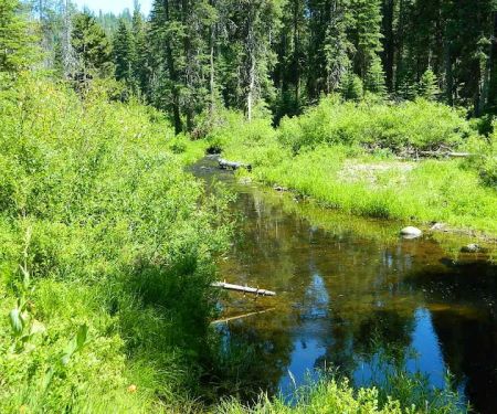 Gurnsey Creek Campground