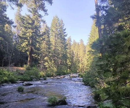 Elam Campground