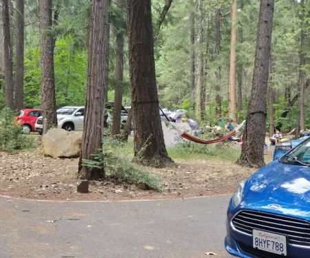 Potato Patch Campground