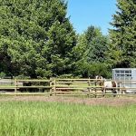 Pleasant Valley Mobile Home Park