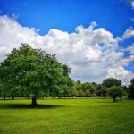 Meadow Lane Estates