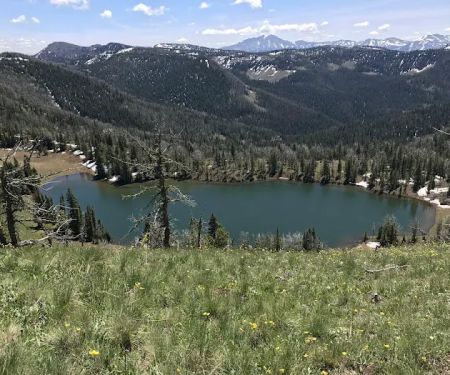 Shelf Lake WE7