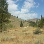 Pioneer Campground