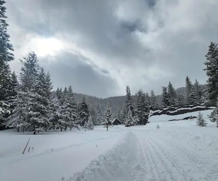 Central Idaho 4-H Camp