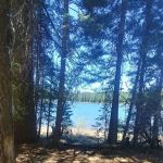 Snag Camp 2