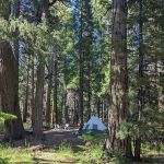Butte Meadows Campground