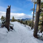 Brackett Creek Trailhead