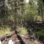 Snowbank Campground