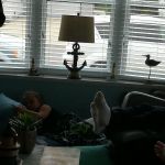 Birchwood Estates