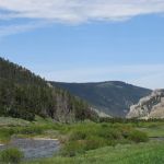 Gallatin River