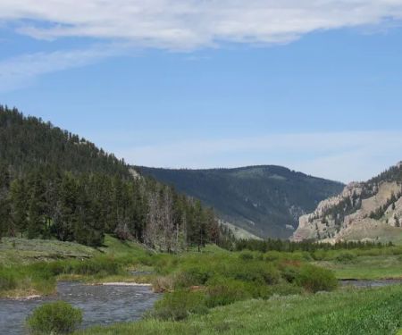 Gallatin River