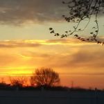 Saginaw Bay Estates