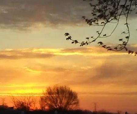 Saginaw Bay Estates