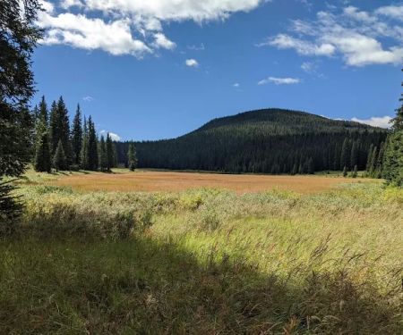 Fawn Lake 1F2