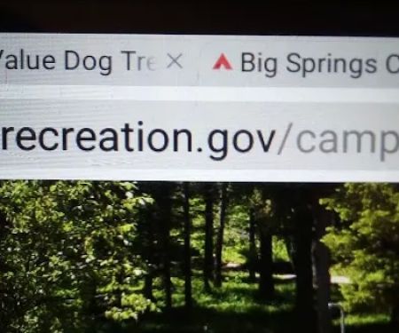 Caribou Campground