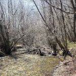 Sawmill Campground