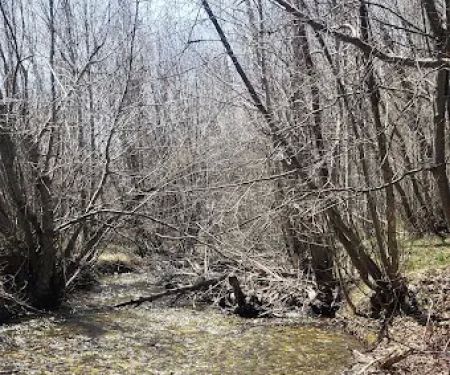 Sawmill Campground