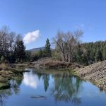 Whistle Stop RV Park