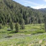 Carrie Creek Campground