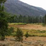 East Fork Baker Creek Campground