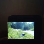 Easley Campground