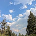 Cottonwood Creek