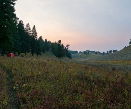 Rescue Creek
