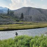 Mammoth Campground