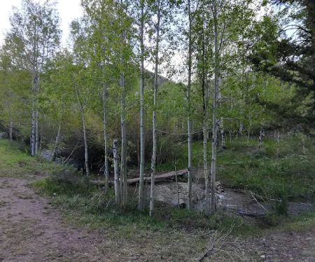 Bear Creek Campground