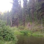 Deerhorn Campground