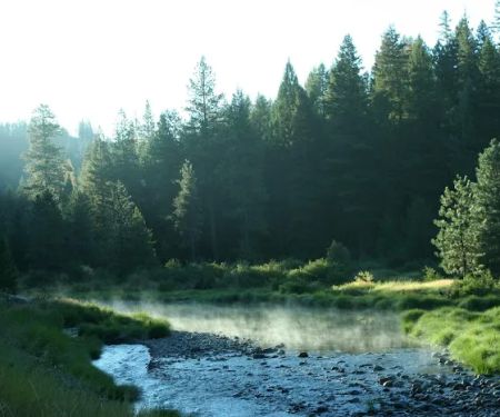 Gold Dredge Campground