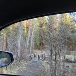 Bear Wallow Creek Campground