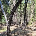 Camp Becausewecan