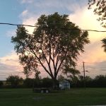 BARBERRY ACRES
