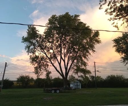 BARBERRY ACRES
