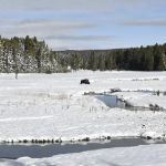 Norris Meadows 4F1
