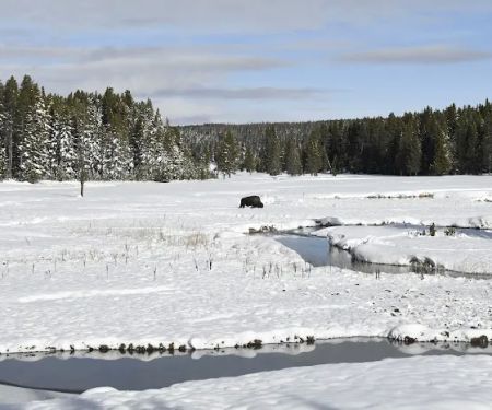 Norris Meadows 4F1
