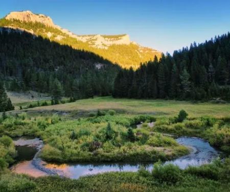 Dry Pole Campground