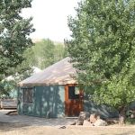 Champagne Creek Yurts