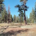 Magone Lake RV Site