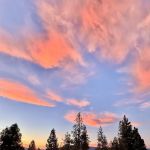 Fox Hill Campground