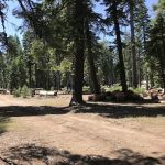 Board Tree Campground