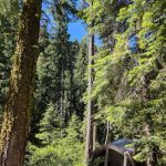 Sierra Campground