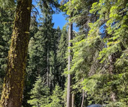 Sierra Campground