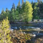 Lower Little Truckee Campground