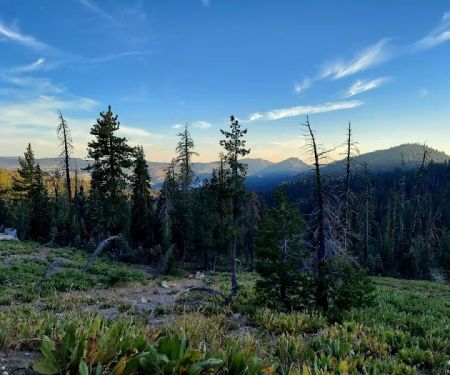 Meadow Lake Campground