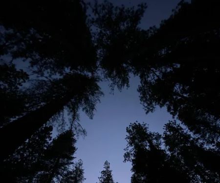 Chute Hill Campground