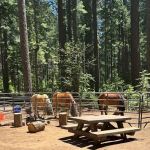 Skillman Campground