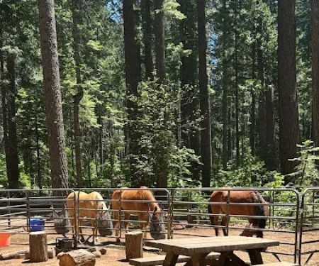 Skillman Campground
